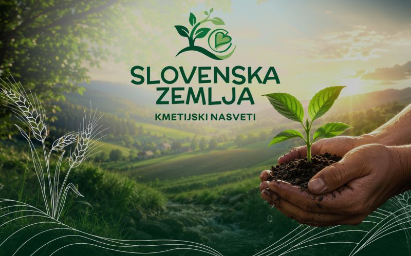 Nova oddaja Slovenska zemlja: uporabni kmetijski nasveti na Veseljaku