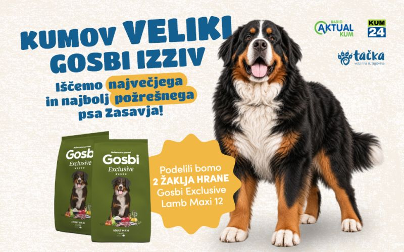 Kumov Gosbi izziv