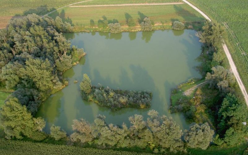 ribiska-druzina-gornja-radgona, lutverci, podgrad