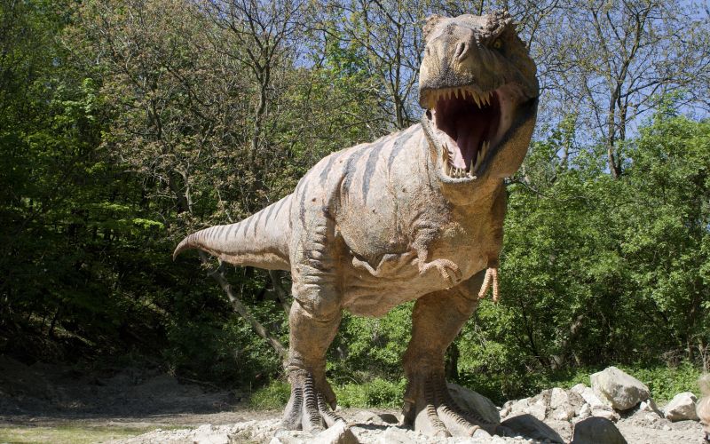 dinozaver