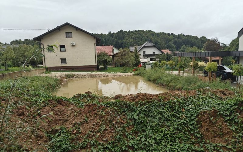 boris-mijic