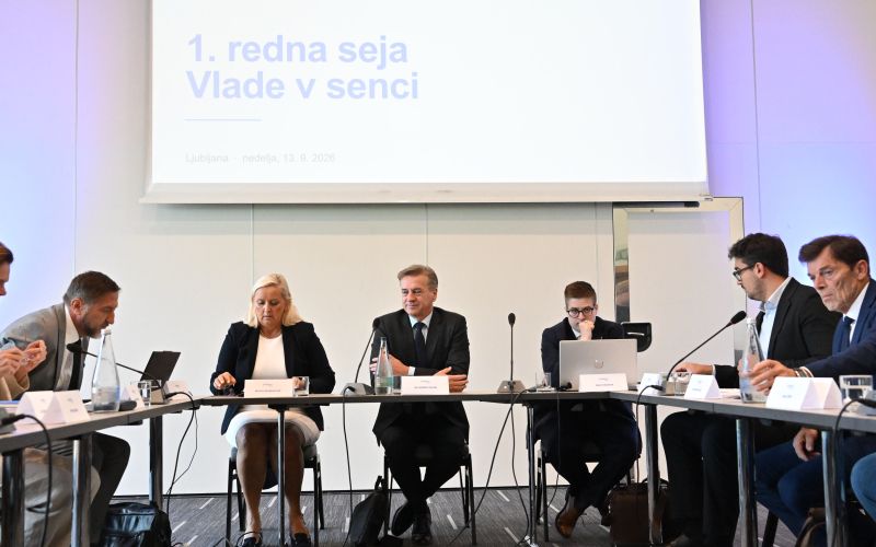 vlada v senci.jpg
