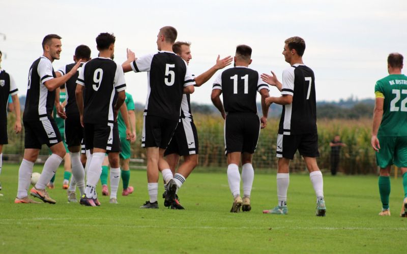 nk  grad, nk bistrica