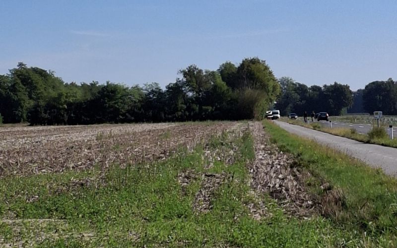 Najdba trupla, Dokležovje, bratonci