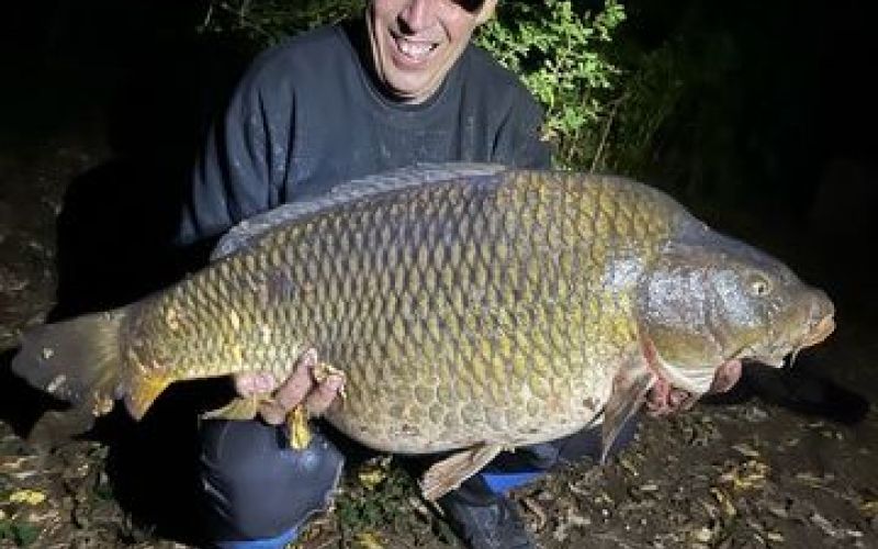 Potočnik Pjer krap 15,5 kg.jpg