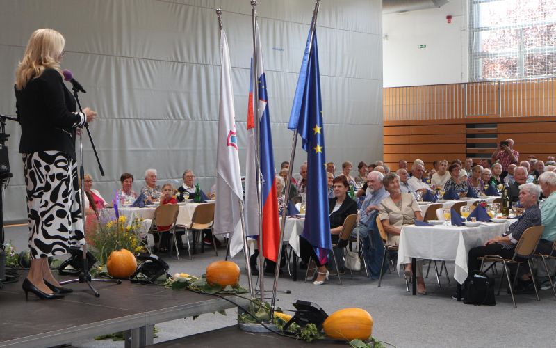stari 7.JPG