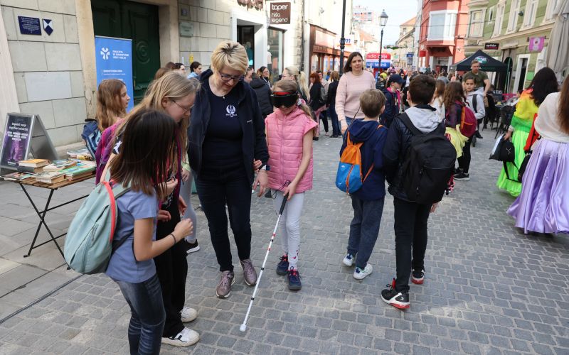 slepi in slabovidni