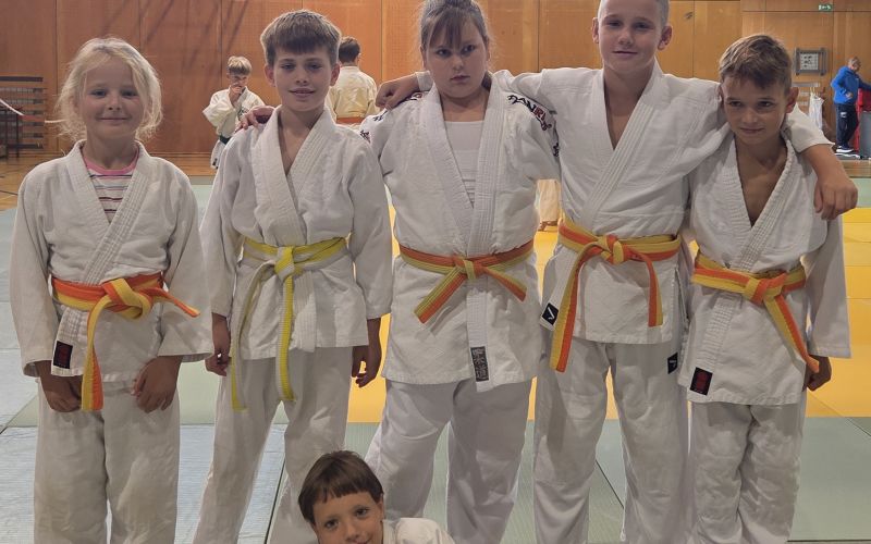 judo-klub-murska-sobota, storkljice, moravske-toplice, pokal-oplotnice