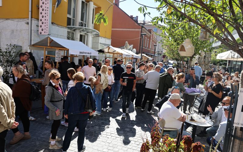 festival-rolce-vince, zavod-celeia, celjska-rolca