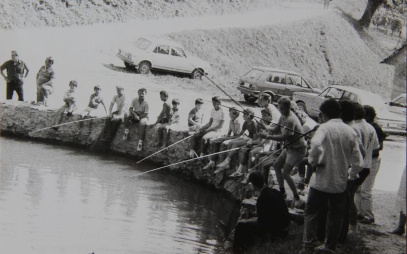 p38.JPG