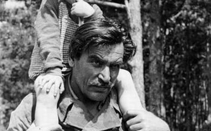 bert-sotlar