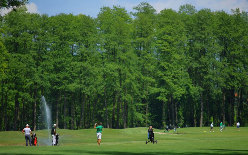 cg_golf_1.jpg