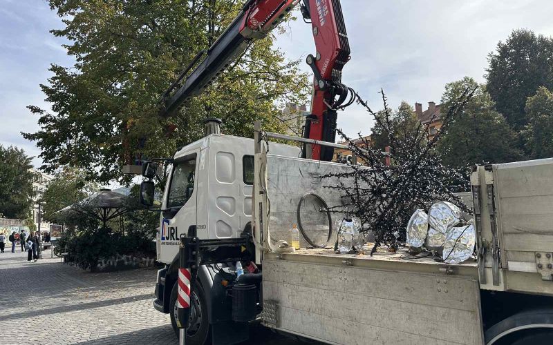viber_image_2026-10-05_13-38-50-672.jpg