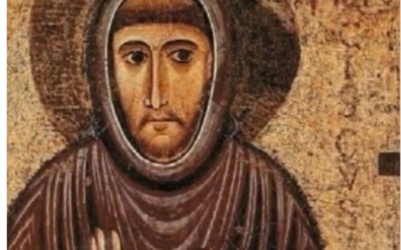 francisek, arezzo