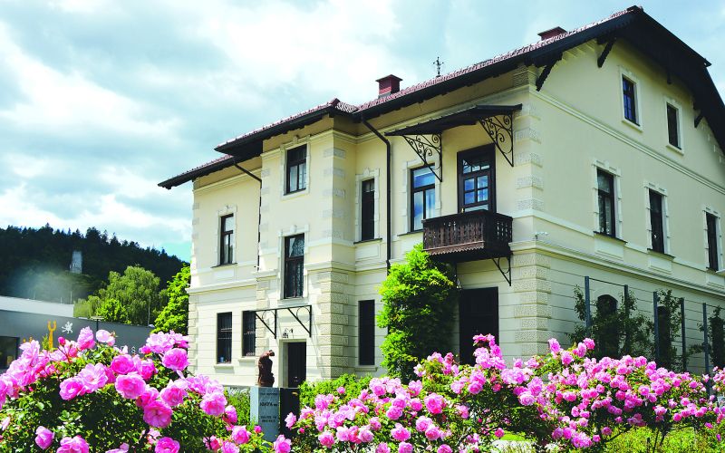 vila mayer_4062.jpg