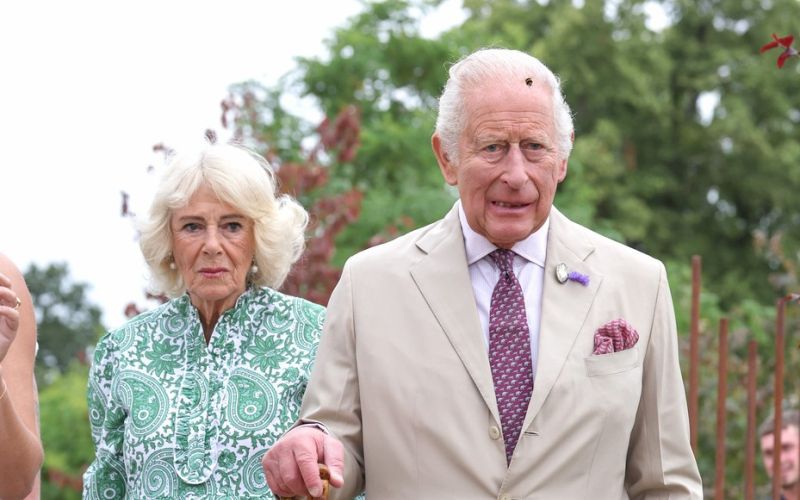 kralj Karel, kraljica Camilla