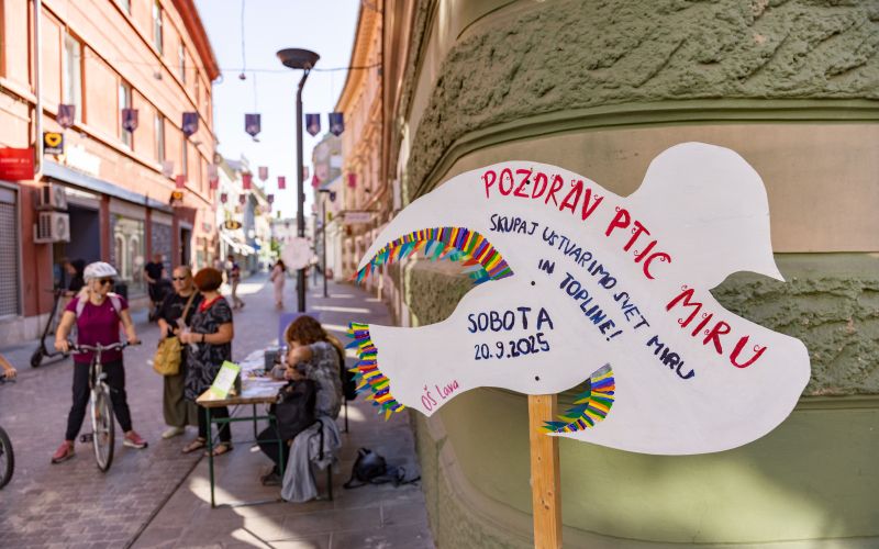 ptice-miru, celje