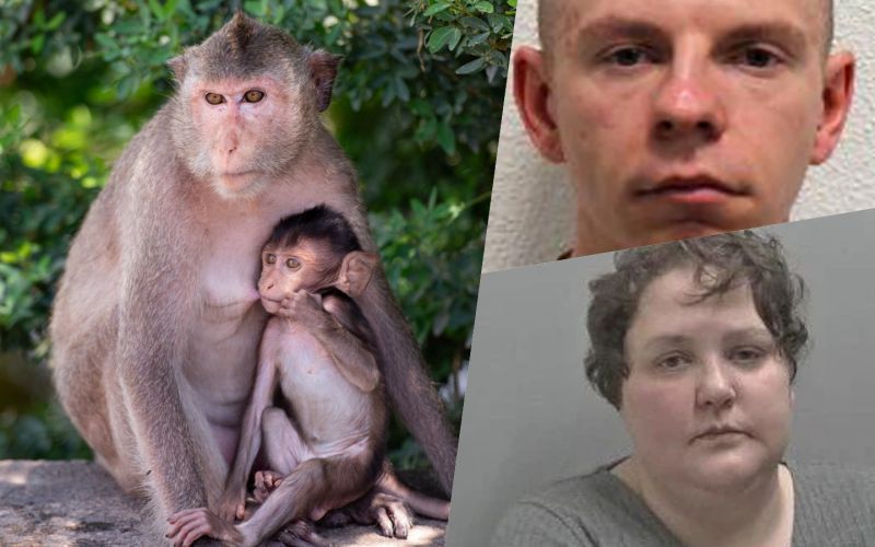 photo-collage.png (61).png