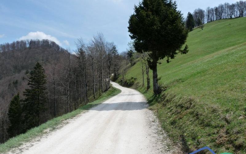Mrzlica Kriška planina.jpg