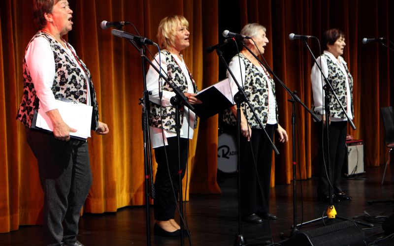 dobrodelni-koncert, clovek-cloveku, dom-drugega-slovenskega-tabora-zalec, medobcinsko-drustvo-invalidov