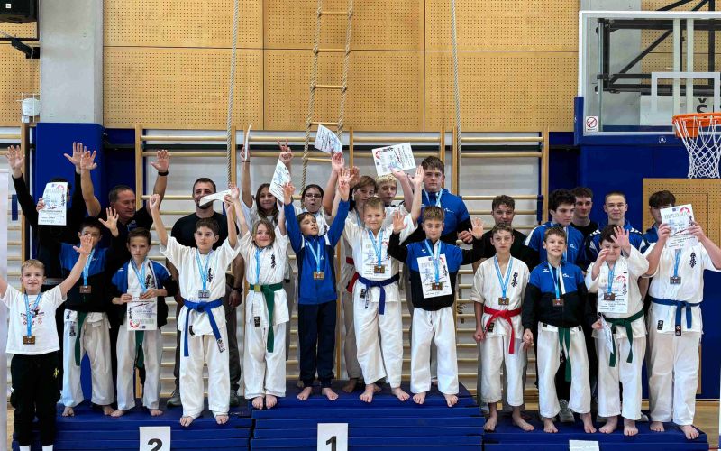kbv-sevnica, karate