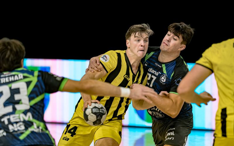 trimo-ehf-pokal