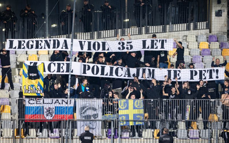 celjski grofje.jpg