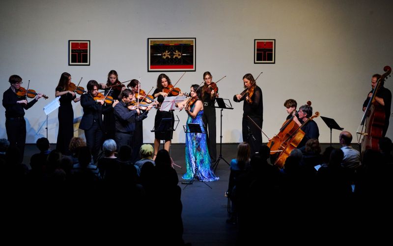 koncertni cikel pri didiju 1.jpg