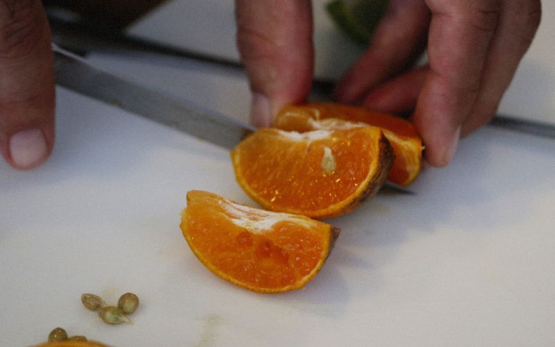 mandarine semena