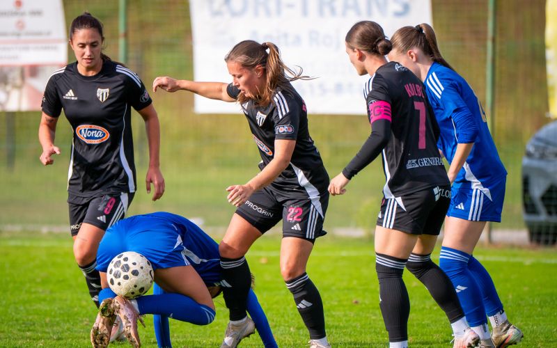 sznl, 9-krog, maribor, malecnik, znk-mura-nona