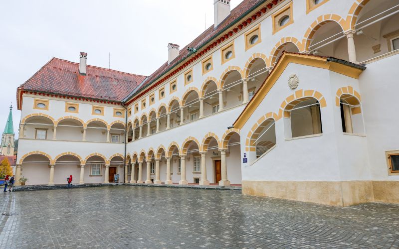stara-grofija, celje, pokrajinski-muzej, kultura, celjski-strop