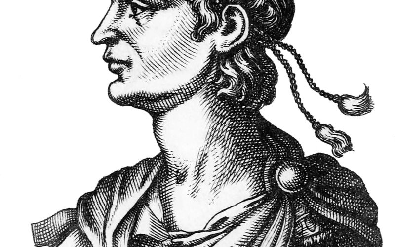 maximus.jpg
