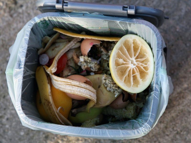 Slovenci lani zavrgli rekordnih 168.318 ton hrane