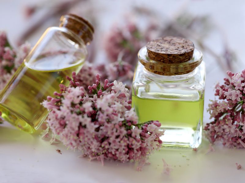 Rastlina, ki raste na vašem vrtu, dokazano pomirja in izboljša spanec