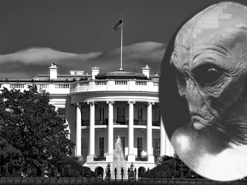 Bela hiša je registrirala dve vesoljski spletni domeni