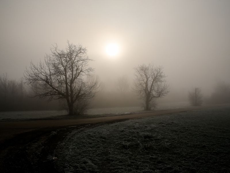 Konec tedna v znamenju megle, a bo mogoče ujeti tudi sončne žarke