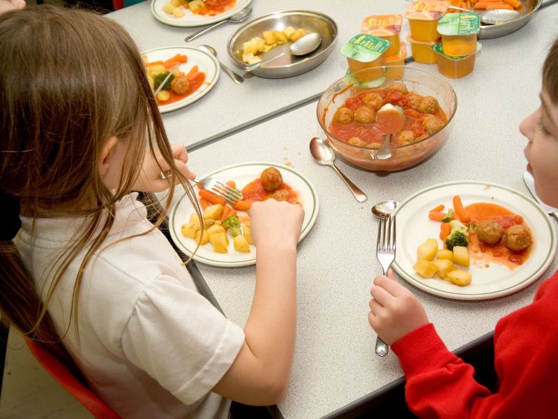 Muslimane moti, da je v slovenskih šolah preveč svinjine