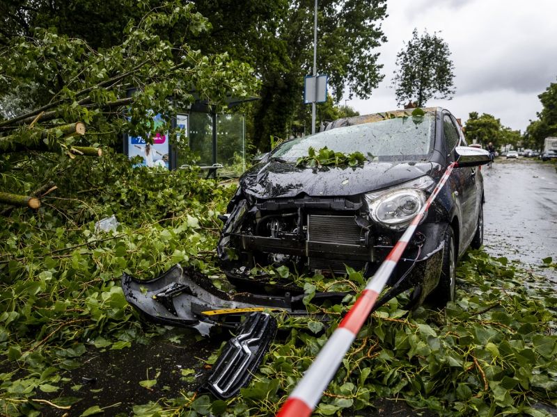 Sporni pogoji kasko zavarovanj: Triglav in Generali pod drobnogledom