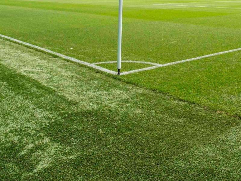 Ugledni slovenski klub diha na škrge – pokvarjen avtobus in začetek stavke