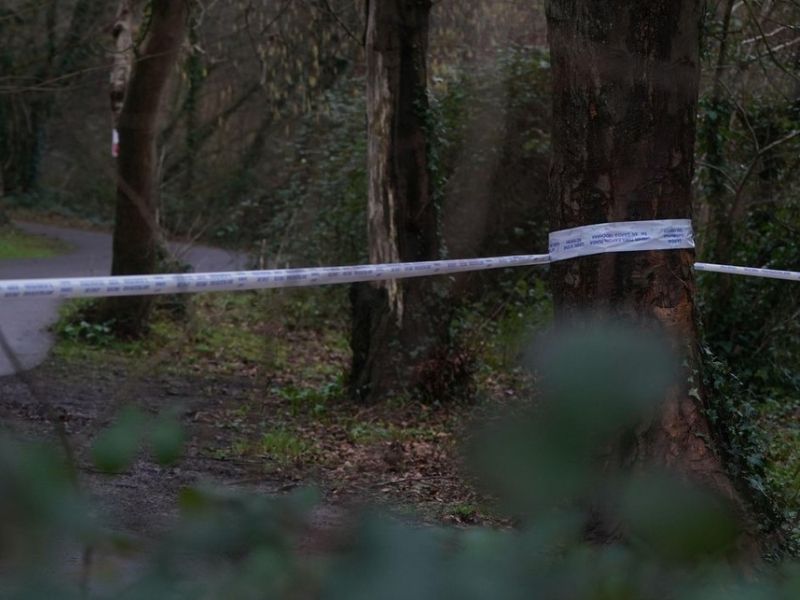 Za grozovit umor sodelavca Trivić in Skrinjar obsojena na 24 let zapora