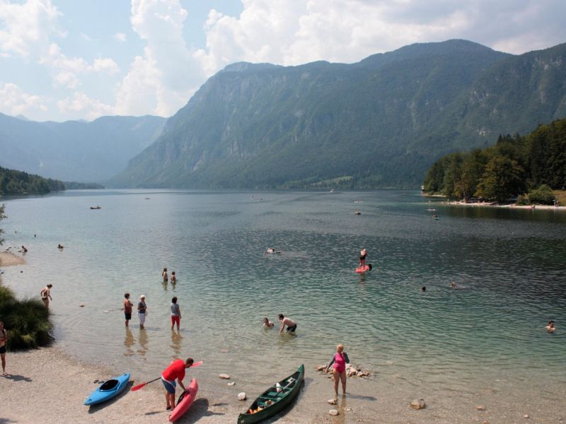 Znani rezultati obdukcije psičke, ki je poginila po kopanju v Bohinjskem jezeru