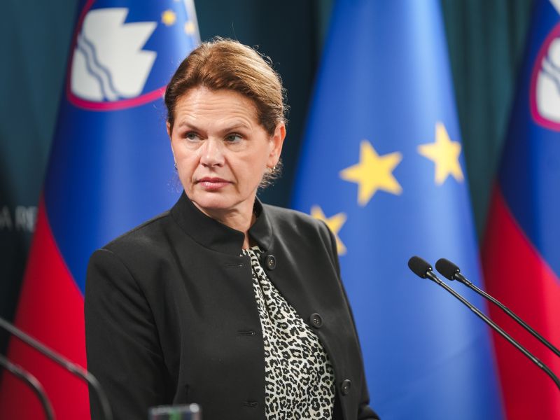 Do junija odločitev o trasi avtoceste od Postojne do Jelšan