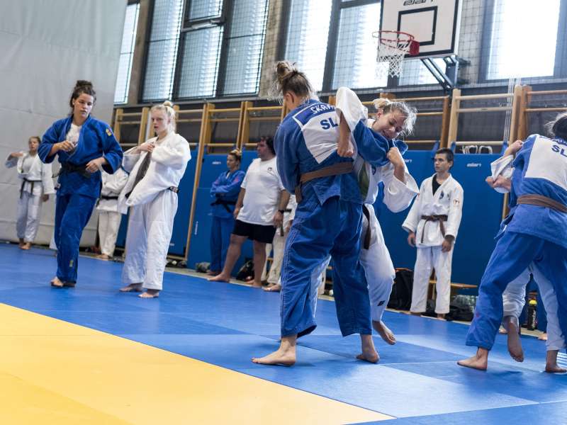 Kaos med judoisti: ponarejanje dokumentacije in papirnati klubi