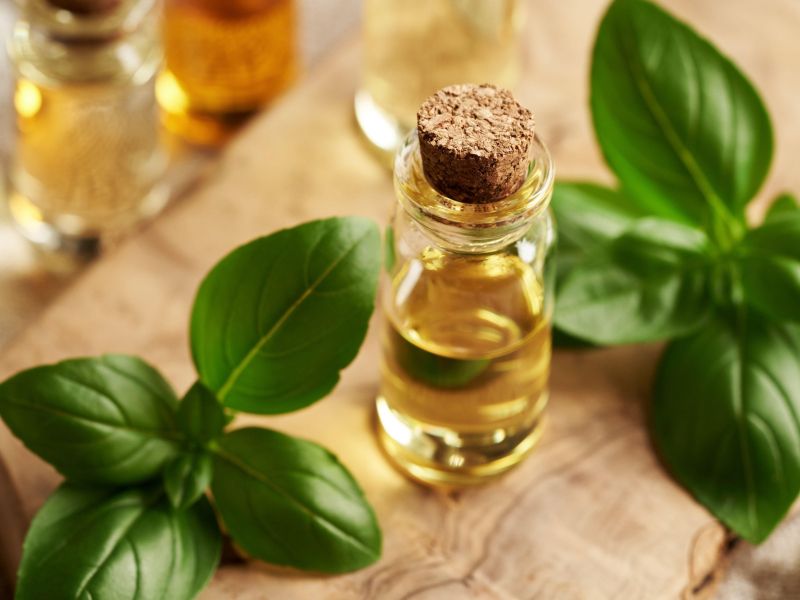 Spodbuja spolni nagon in delovanje želodca