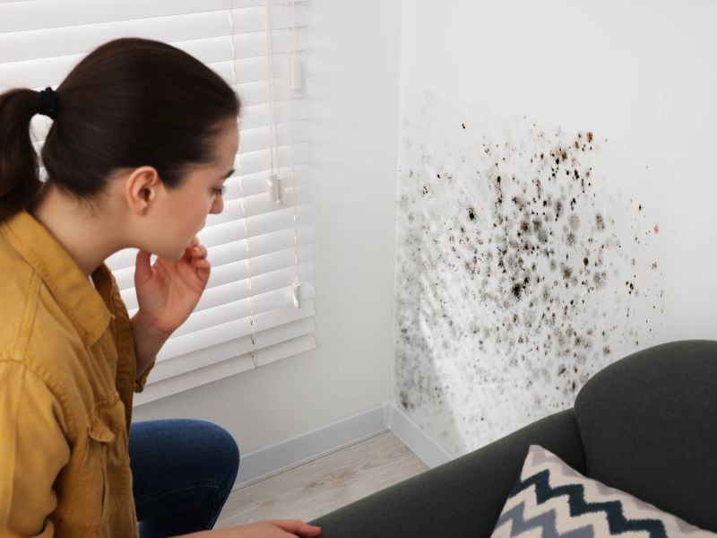 Plesni v domu: največja zimska nevarnost za otroke, astmatike in alergike