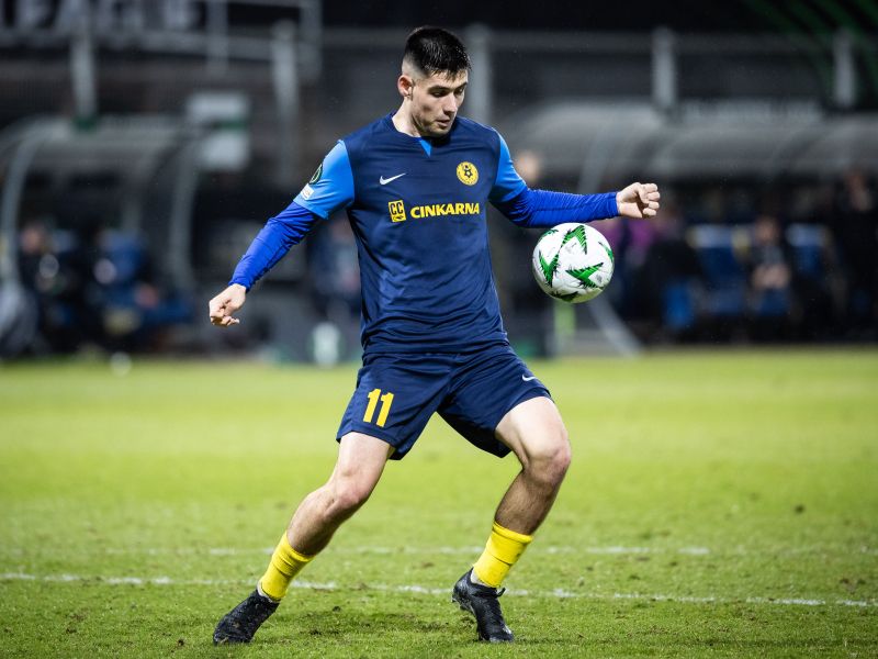 Svit Sešlar poslal 'grožnjo' proti Ljudskemu vrtu