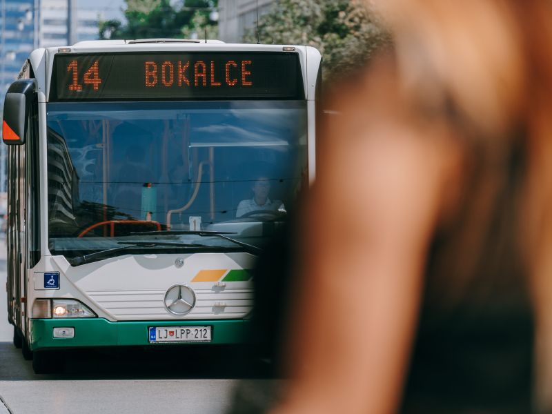 Piratom na ustavnem sodišču ni uspelo poceniti vozovnic LPP