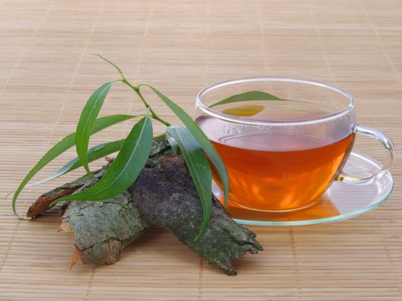 Deluje kot naravni aspirin, ki učinkovito lajša bolečine