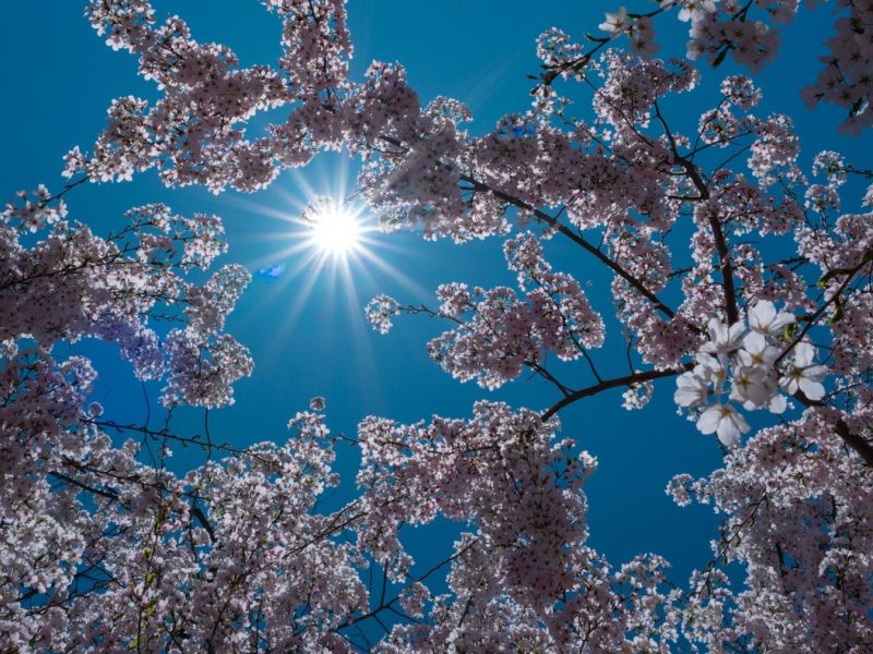 Velikonočni umik vetra in prihod sončnih, toplejših dni