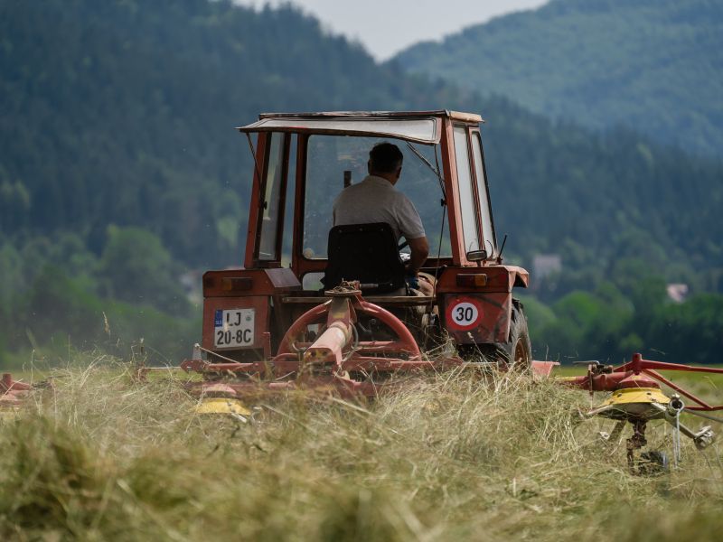Blejski kmet Bernard ponovno na sodišču zaradi obtožb o uničevanju okolja